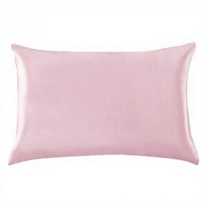 Single Satin Solid Color Ice Silk Pillowcase & Cushi